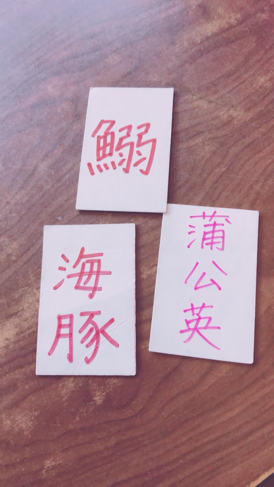画像の説明